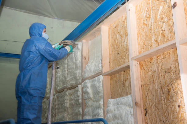 Best Insulation Removal  in Northwest Harborcreek, PA