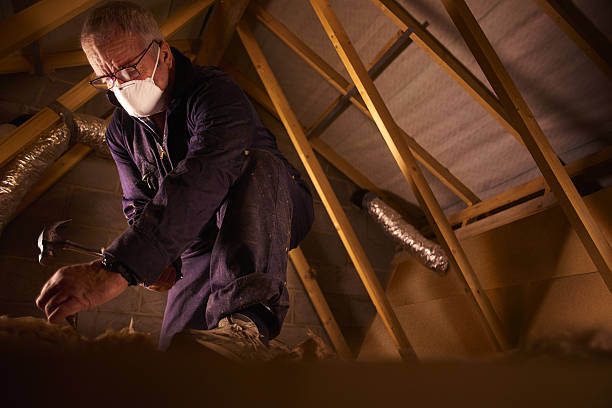 Best Insulation Contractor Near Me  in Northwest Harborcreek, PA